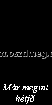 Már megint hétfő Már megint hétfő
Már megint hétfő