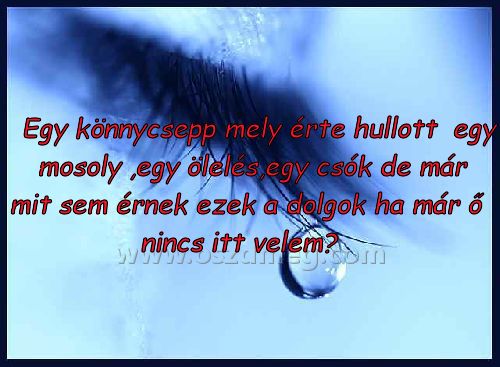 Egy könnycsepp mely érte
 
Egy könnycsepp mely érte hullott  egy mosoly ,egy ölelés,egy csók de már mit sem érnek ezek a dolgok ha már ő nincs itt velem?