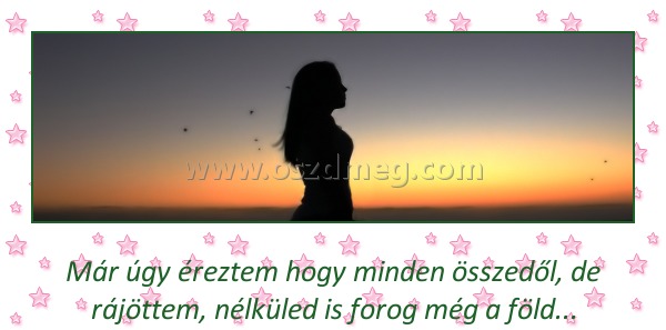 Már úgy éreztem
 
Már úgy éreztem hogy minden összedől, de rájöttem, nélküled is forog még a föld...