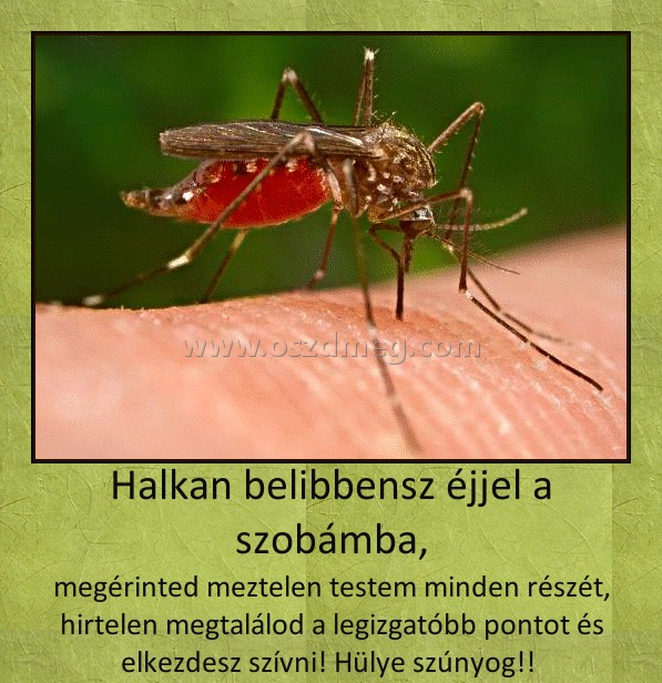 Halkan belibbensz éjjel a szobámba,
 
megérinted meztelen testem minden részét, hirtelen megtalálod a legizgatóbb pontot és elkezdesz szívni! Hülye szúnyog!! 