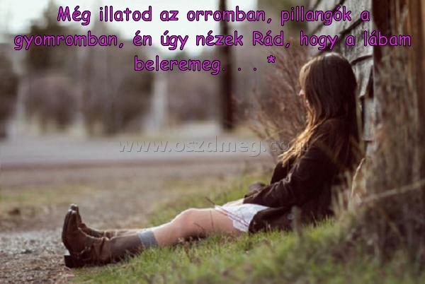 Még illatod az orromban
 
Még illatod az orromban, pillangók a gyomromban, én úgy nézek Rád, hogy a lábam beleremeg. . . *  