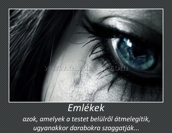 Emlékek
 
azok, amelyek a testet belülről átmelegítik, ugyanakkor darabokra szaggatják...