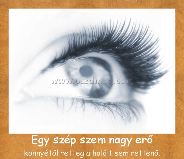 Egy szép szem nagy erő
 
könnyétől retteg a halált sem rettenő.