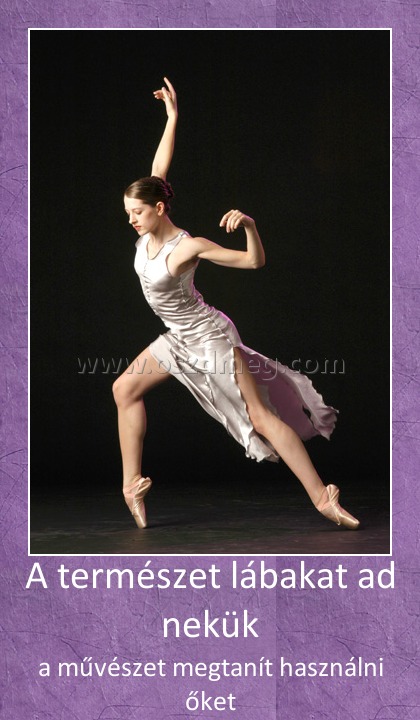 A természet lábakat ad nekük
 
a művészet megtanít használni őket
