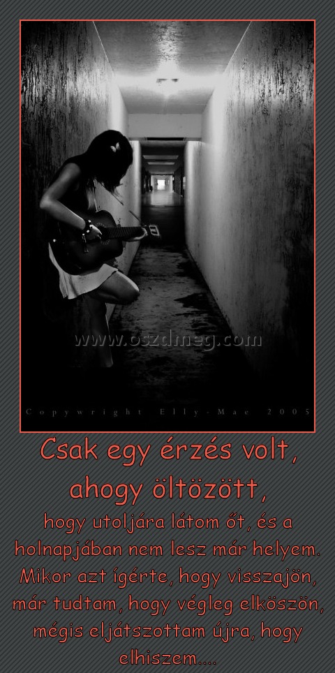 Csak egy érzés volt, ahogy öltözött,
 
hogy utoljára látom őt, és a holnapjában nem lesz már helyem. Mikor azt ígérte, hogy visszajön, már tudtam, hogy végleg elköszön, mégis eljátszottam újra, hogy elhiszem....