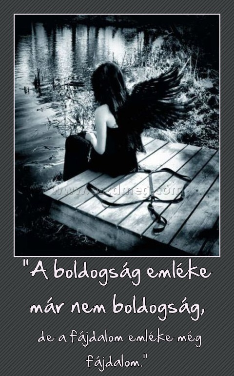 "A boldogság emléke már nem boldogság,
 
 de a fájdalom emléke még fájdalom.