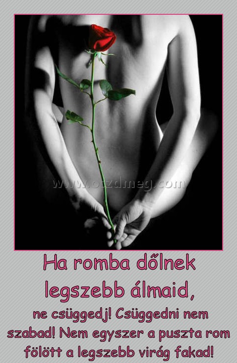 Ha romba dőlnek legszebb álmaid,
 
 ne csüggedj! Csüggedni nem szabad! Nem egyszer a puszta rom fölött a legszebb virág fakad!