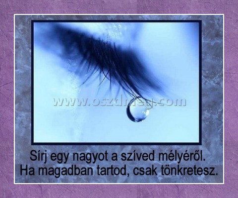 Sírj egy nagyot
 
