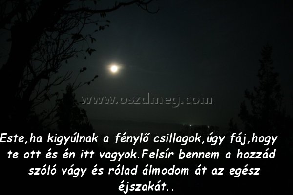Este
 
Este,ha kigyúlnak a fénylő csillagok,úgy fáj,hogy te ott és én itt vagyok.Felsír bennem a hozzád szóló vágy és rólad álmodom át az egész éjszakát..