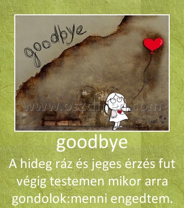goodbye goodbye
A hideg ráz és jeges érzés fut végig testemen mikor arra gondolok:menni engedtem.