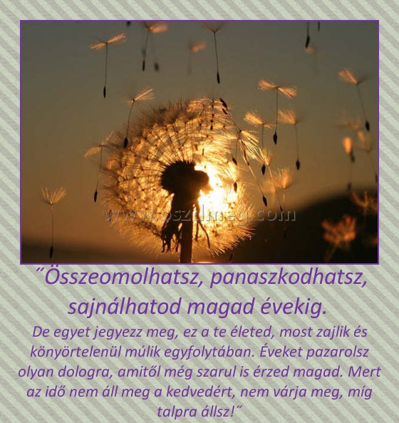 ˝Összeomolhatsz, panaszkodhatsz, sajnálhatod magad évekig. 
 
De egyet jegyezz meg, ez a te életed, most zajlik és könyörtelenül múlik egyfolytában. Éveket pazarolsz olyan dologra, amitől még szarul is érzed magad. Mert az idő nem áll meg a kedvedért, nem várja meg, míg talpra állsz!˝