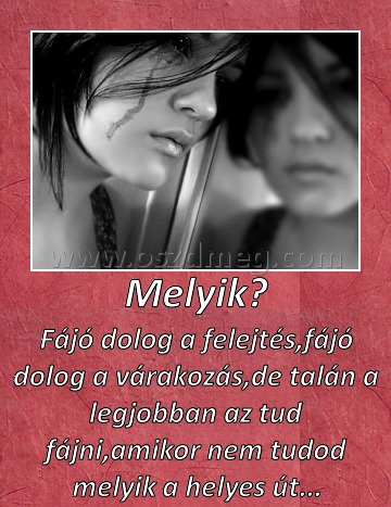 Melyik?
 
Fájó dolog a felejtés,fájó dolog a várakozás,de talán a legjobban az tud fájni,amikor nem tudod melyik a helyes út...