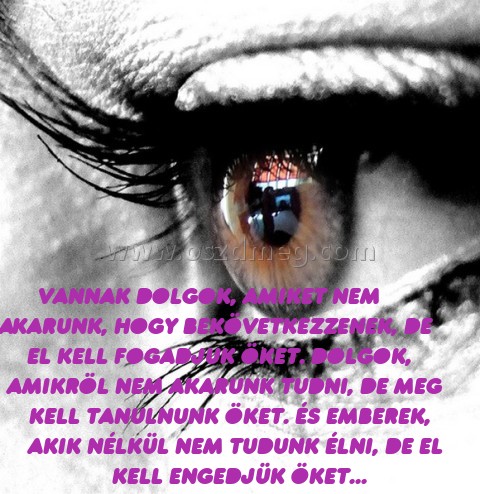 Vannak dolgok
 
Vannak dolgok, amiket nem akarunk, hogy bekövetkezzenek, de el kell fogadjuk öket. Dolgok, amikröl nem akarunk tudni, de meg kell tanulnunk öket. És emberek, akik nélkül nem tudunk élni, de el kell engedjük öket...