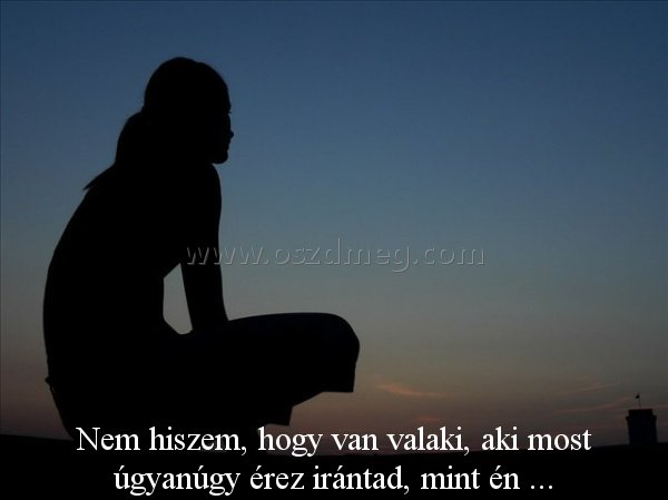 Nem hiszem Nem hiszem
Nem hiszem, hogy van valaki, aki most úgyanúgy érez irántad, mint én ...