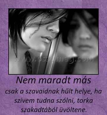 Nem maradt más
 
csak a szavaidnak hűlt helye, ha szívem tudna szólni, torka szakadtából üvöltene.