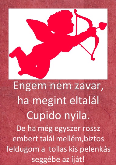 Engem nem zavar, ha megint eltalál Cupido nyila.
 
De ha még egyszer rossz embert talál mellém,biztos feldugom a  tollas kis pelenkás seggébe az íját!