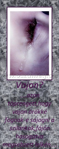 Vajon?
 
....azon töprengett,hogy vajon örökké fognak-e sajogni a szilánkok,fájón hasogatva megsebzett lelkén....