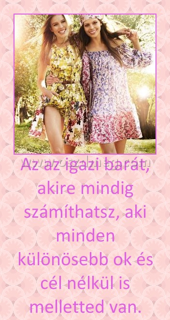 Az az igazi barát
 
