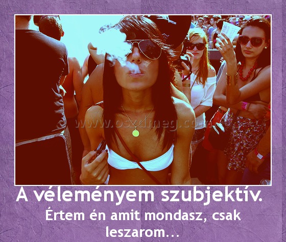 A véleményem szubjektív. A véleményem szubjektív.
Értem én amit mondasz, csak leszarom...