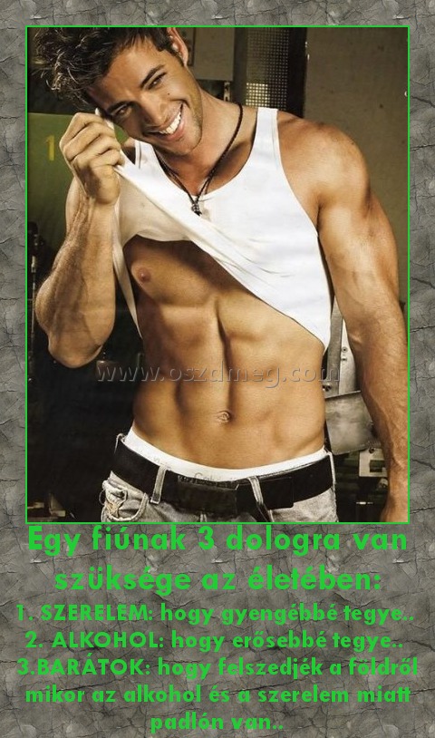 Egy fiúnak 3 dologra van szüksége az életében:
 
1. SZERELEM: hogy gyengébbé tegye..  2. ALKOHOL: hogy erősebbé tegye..  3.BARÁTOK: hogy felszedjék a földről mikor az alkohol és a szerelem miatt padlón van..