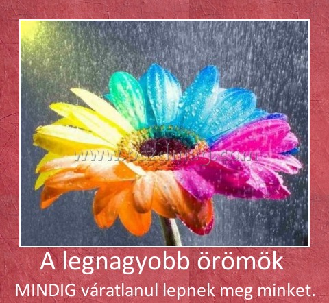 A legnagyobb örömök 
 
MINDIG váratlanul lepnek meg minket.