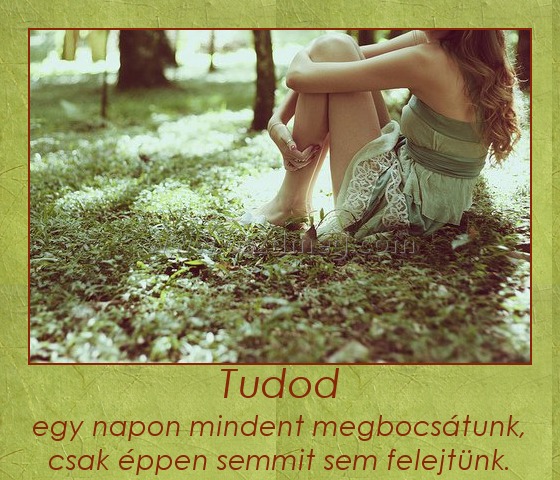 Tudod
 
egy napon mindent megbocsátunk, csak éppen semmit sem felejtünk.