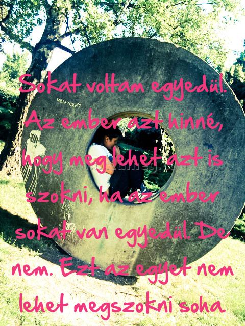 Sokat voltam egyedül. Az
 
Sokat voltam egyedül. Az ember azt hinné, hogy meg lehet azt is szokni, ha az ember sokat van egyedül. De nem. Ezt az egyet nem lehet megszokni soha.