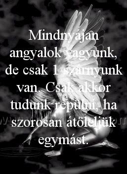 Mindnyájan angyalok vagyunk
 
Mindnyájan angyalok vagyunk, de csak 1 szárnyunk van. Csak akkor tudunk repülni, ha szorosan átöleljük egymást.