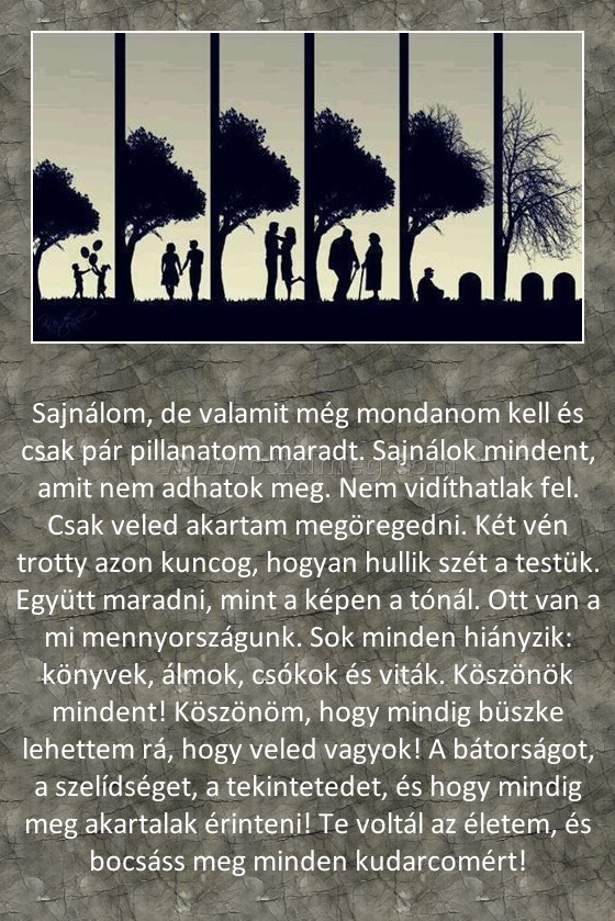 
 
Sajnálom, de valamit még mondanom kell és csak pár pillanatom maradt. Sajnálok mindent, amit nem adhatok meg. Nem vidíthatlak fel. Csak veled akartam megöregedni. Két vén trotty azon kuncog, hogyan hullik szét a testük. Együtt maradni, mint a képen a tónál. Ott van a mi mennyországunk. Sok minden hiányzik: könyvek, álmok, csókok és viták. Köszönök mindent! Köszönöm, hogy mindig büszke lehettem rá, hogy veled vagyok! A bátorságot, a szelídséget, a tekintetedet, és hogy mindig meg akartalak érinteni! Te voltál az életem, és bocsáss meg minden kudarcomért!