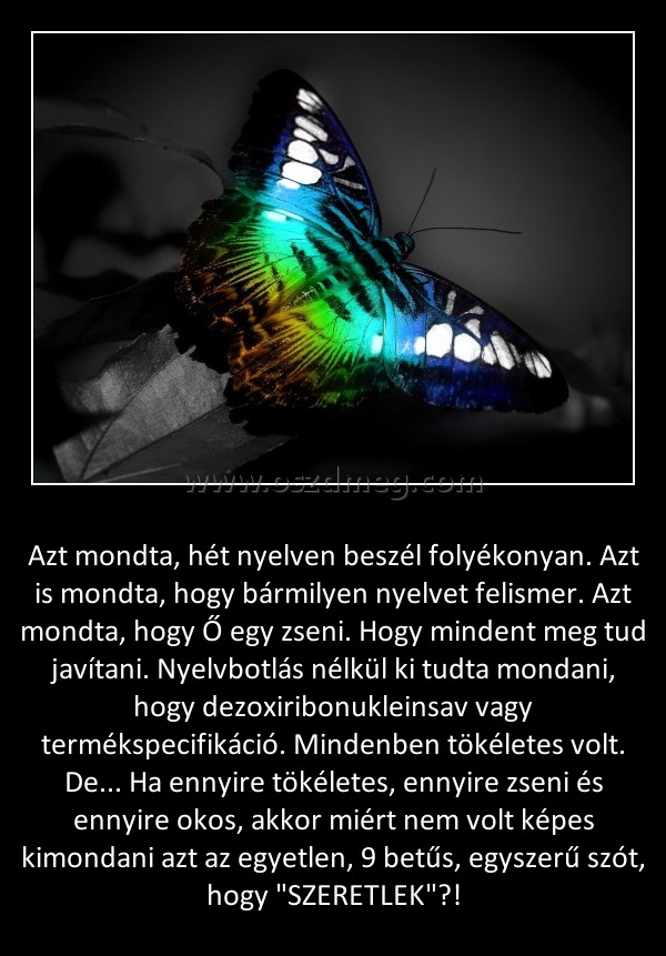 Azt mondta
 
Azt mondta, hét nyelven beszél folyékonyan. Azt is mondta, hogy bármilyen nyelvet felismer. Azt mondta, hogy Ő egy zseni. Hogy mindent meg tud javítani. Nyelvbotlás nélkül ki tudta mondani, hogy dezoxiribonukleinsav vagy termékspecifikáció. Mindenben tökéletes volt. De... Ha ennyire tökéletes, ennyire zseni és ennyire okos, akkor miért nem volt képes kimondani azt az egyetlen, 9 betűs, egyszerű szót, hogy 