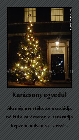 Karácsony egyedül Karácsony egyedül
Aki még nem töltötte a családja nélkül a karácsonyt, el sem tudja képzelni milyen rossz érzés.