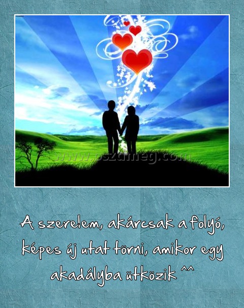 A szerelem
 
