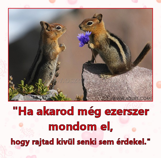 "Ha akarod még ezerszer mondom el, "Ha akarod még ezerszer mondom el,
hogy rajtad kivül senki sem érdekel."