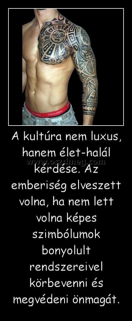 A kultúra nem luxus, hanem élet-halál kérdése. Az emberiség elveszett volna, ha nem lett volna képes szimbólumok bonyolult rendszereivel körbevenni és megvédeni önmagát. A kultúra nem luxus, hanem élet-halál kérdése. Az emberiség elveszett volna, ha nem lett volna képes szimbólumok bonyolult rendszereivel körbevenni és megvédeni önmagát.