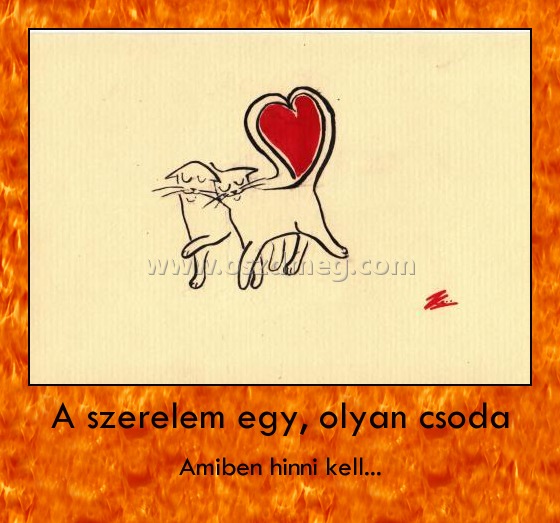 A szerelem egy, olyan csoda
 
Amiben hinni kell...