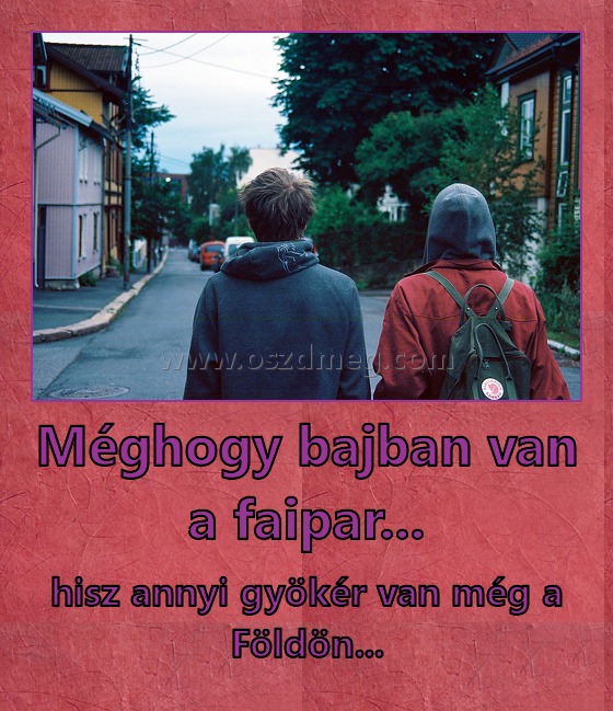 Méghogy bajban van a faipar...
 
hisz annyi gyökér van még a Földön...