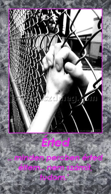 Érted Érted
.. minden percben érted éltem.. nem számít, tudom.'