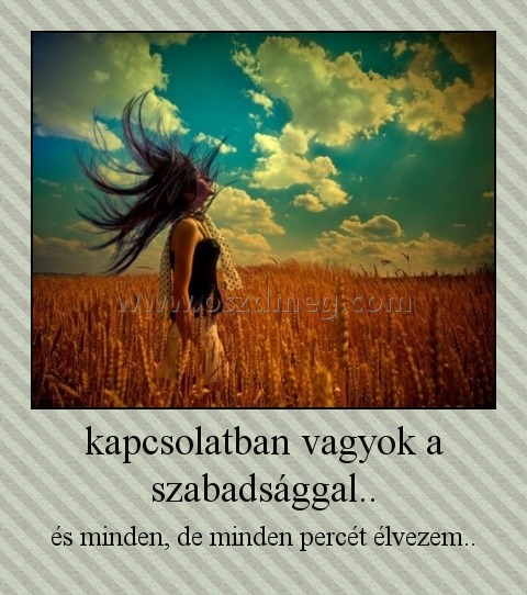 kapcsolatban vagyok a szabadsággal..
 
és minden, de minden percét élvezem..