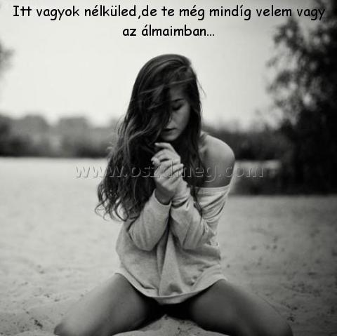 Itt vagyok nélküled
 
Itt vagyok nélküled,de te még mindíg velem vagy az álmaimban...