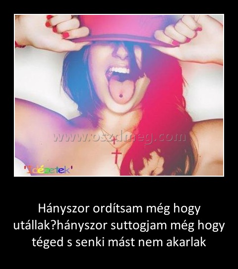 Hányszor ordítsam még hogy utállak Hányszor ordítsam még hogy utállak