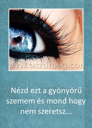 Nézd ezt a gyönyörű szemem és mond hogy nem szeretsz
 
