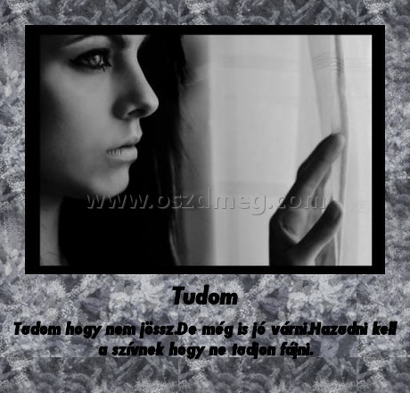 Tudom Tudom
Tudom hogy nem jössz.De még is jó várni.Hazudni kell a szívnek hogy ne tudjon fájni.
