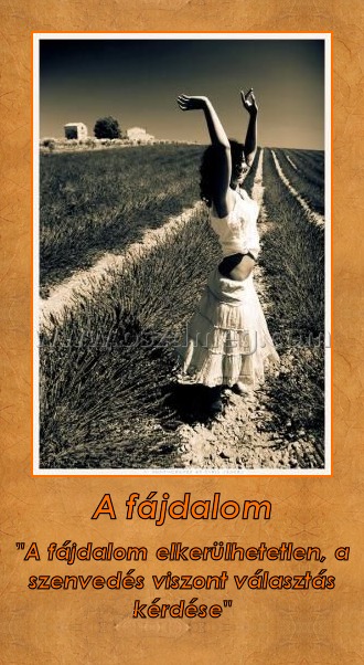 A fájdalom A fájdalom