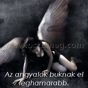 Az angyalok buknak el
 
Az angyalok buknak el leghamarabb.