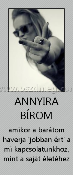 ANNYIRA BÍROM
 
amikor a barátom haverja 'jobban ért' a mi kapcsolatunkhoz, mint a saját életéhez