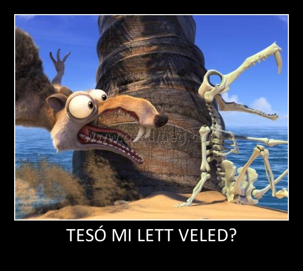 TESÓ MI LETT VELED? TESÓ MI LETT VELED?