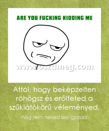 Attól, hogy beképzelten röhögsz és erőlteted a szűklátókörű véleményed,
 
még nem neked lesz igazad.
