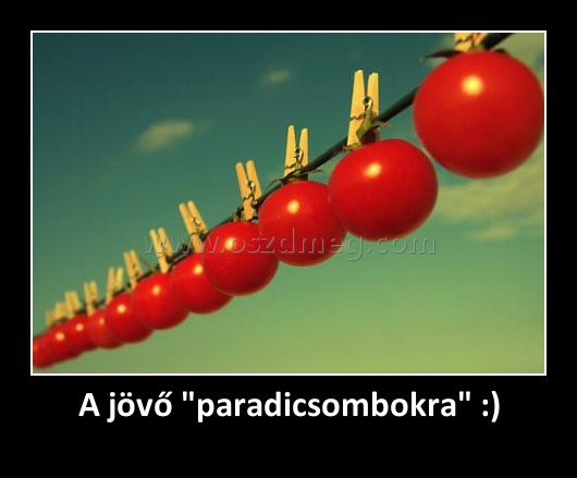 A jövő "paradicsombokra" :) A jövő "paradicsombokra" :)