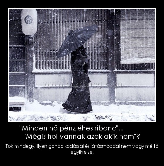 "Minden nő pénz éhes ribanc"...             "Mégis hol vannak azok akik nem"?
 
Tök mindegy. Ilyen gondolkodással és látásmóddal nem vagy méltó egyikre se.